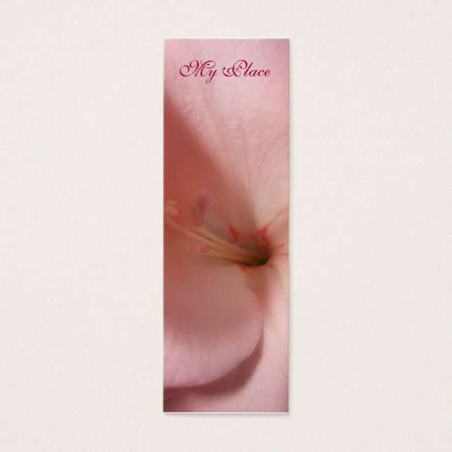 Marque du livre My Place Gladiola (Devant)