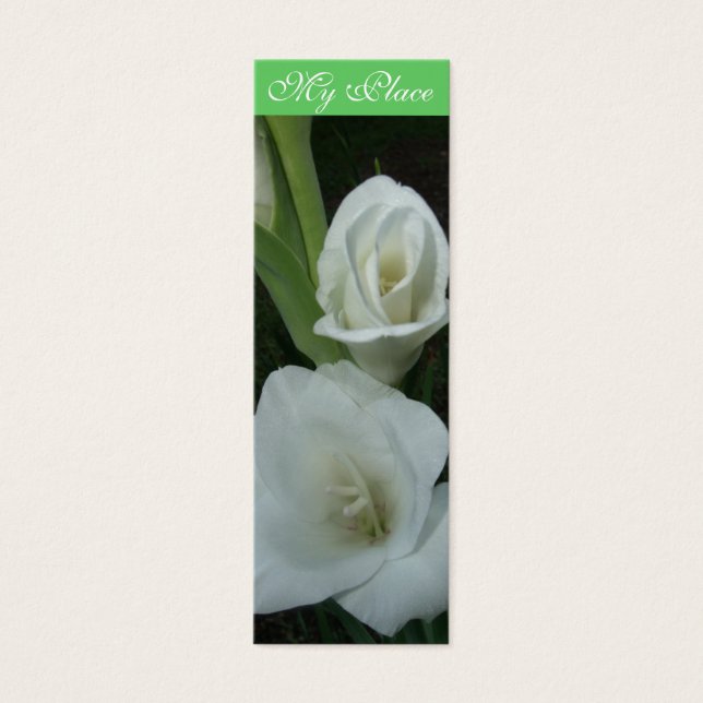 Marque du livre My Place Gladiola (Devant)