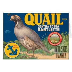 Marque Quail Contra Costa Bartletts