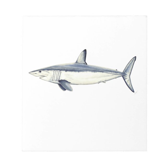 Marrajo - Isurus oxyrinchus Notepad (Front)