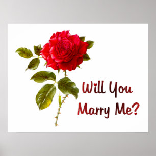 Marry Me Poster