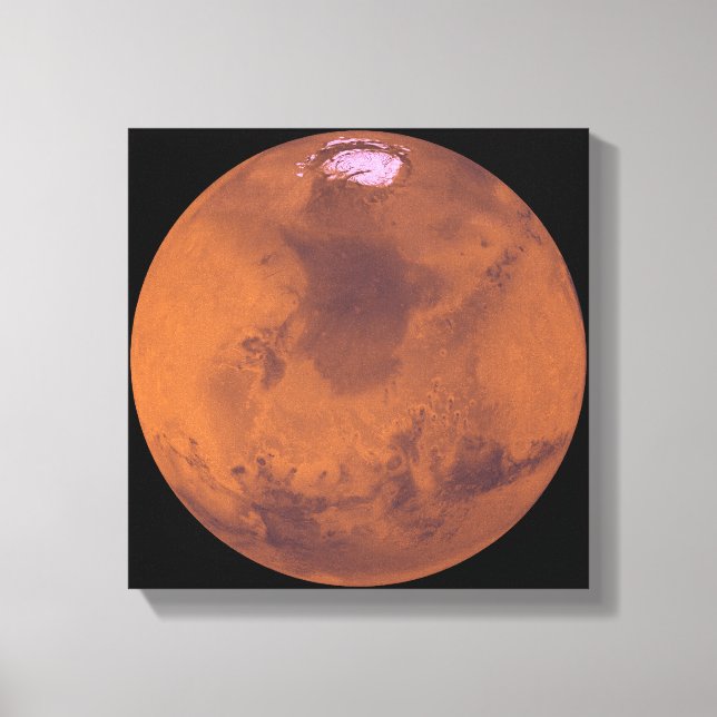 Mars 2 canvas print (Front)