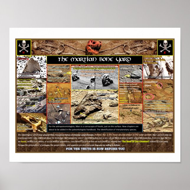 Mar's Boneyard Poster (Front)