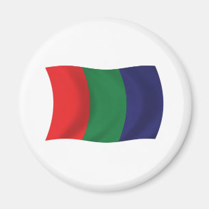 Mars Flag Magnet
