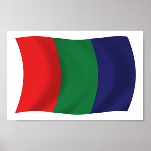 Mars Flag Poster Print