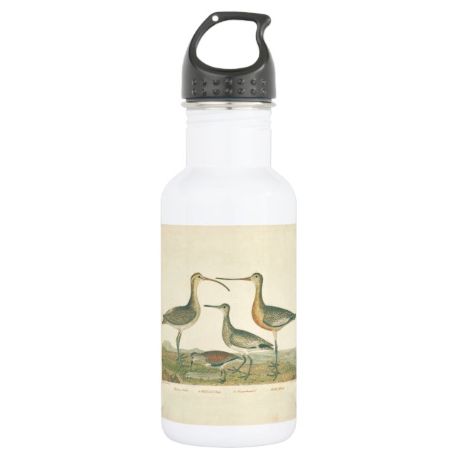 Marsh Bird Curlew Snipe Birding 532 Ml Water Bottle (Front)