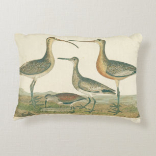 Marsh Bird Curlew Snipe Birding Accent Pillow
