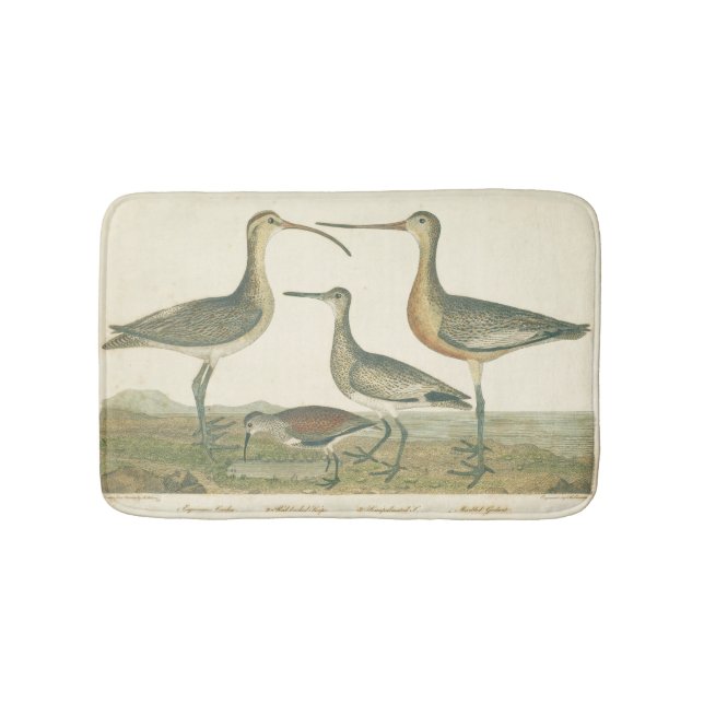 Marsh Bird Curlew Snipe Birding Bath Mat (Front)