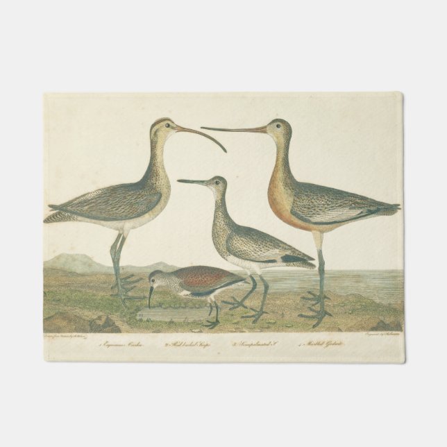 Marsh Bird Curlew Snipe Birding Doormat (Front)