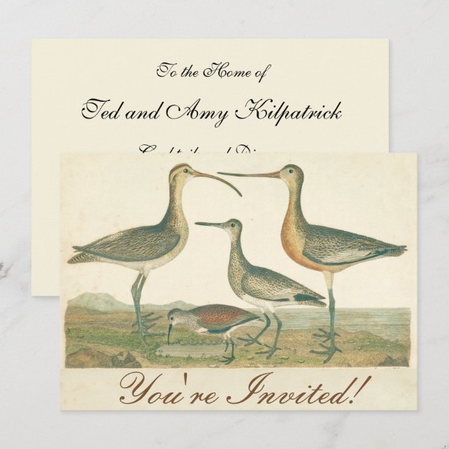 Marsh Bird Curlew Snipe Birding Invitation (Front/Back)