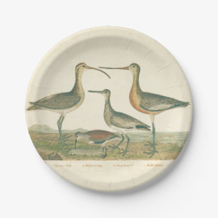 Marsh Bird Curlew Snipe Birding Paper Plate