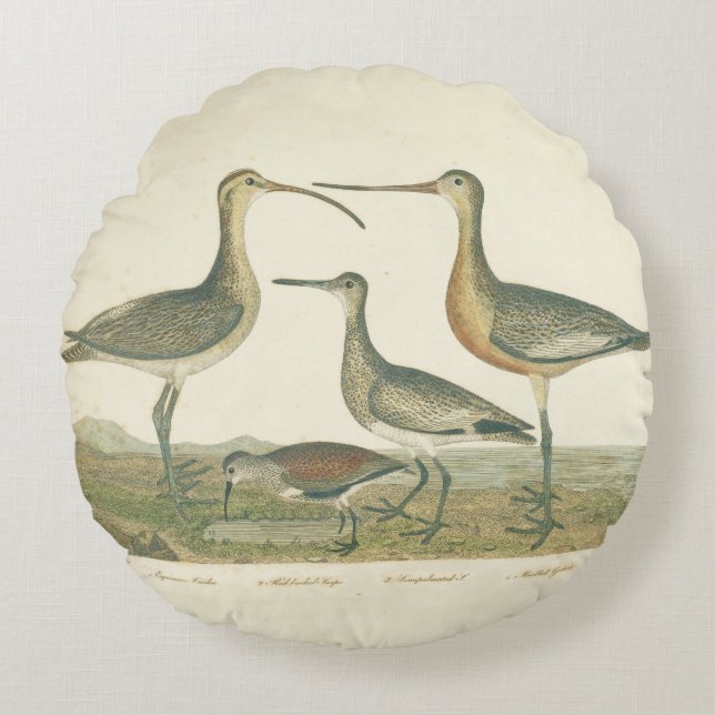 Marsh Bird Curlew Snipe Birding Round Pillow (Front)