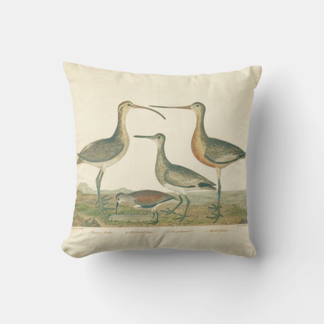 Marsh Bird Curlew Snipe Birding Throw Pillow (Front)