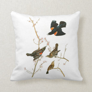 Marsh Blackbird John Audubon Birds of America Throw Pillow