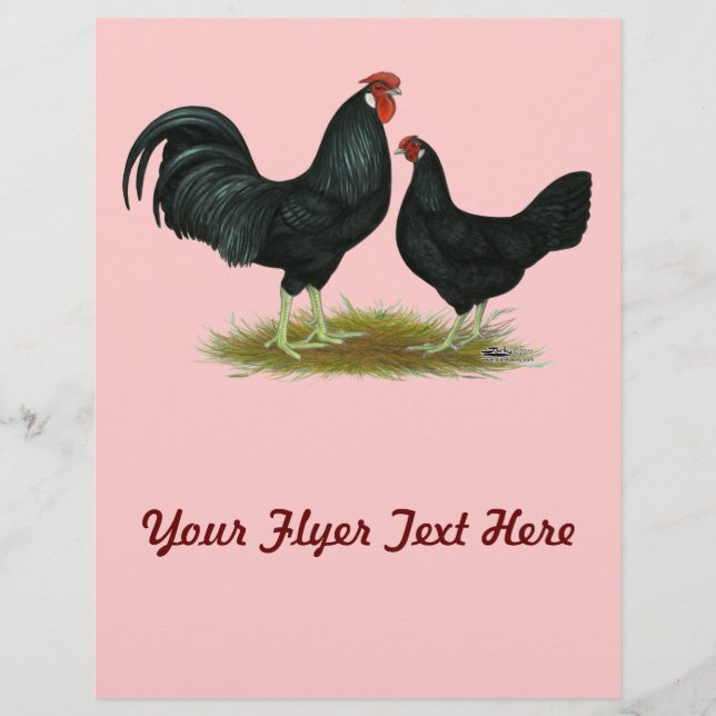 Marsh Daisy Chickens Flyer (Front)