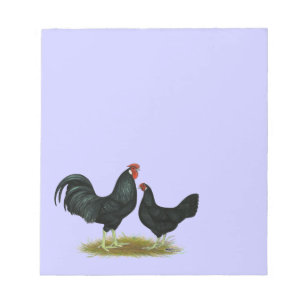 Marsh Daisy Chickens Notepad
