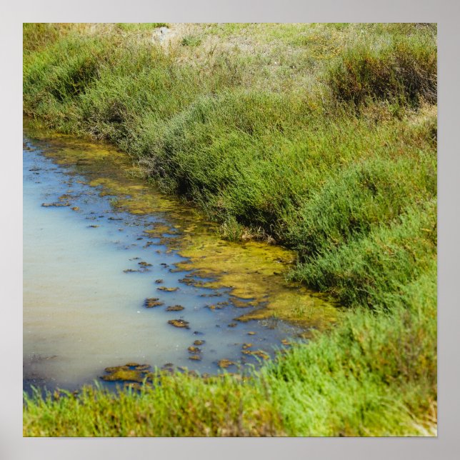 Marsh Edge Poster (Front)