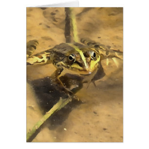 Marsh Frog Immersed In River Water Painting