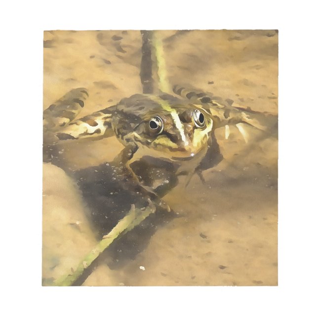 Marsh Frog Immersed In River Water Painting Notepad (Front)
