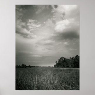 Marsh Grasses Poster