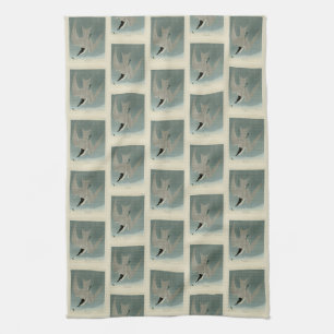 Marsh (Gull-Billed) Tern, Audubon Birds of America Kitchen Towel