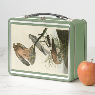 Marsh Hawk from Audubon's Birds of America Metal Lunch Box