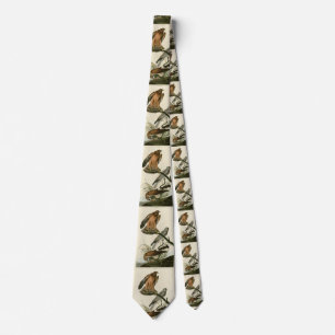 Marsh Hawk from Audubon's Birds of America Tie