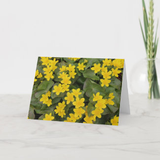 Marsh Marigold in Bloom Card