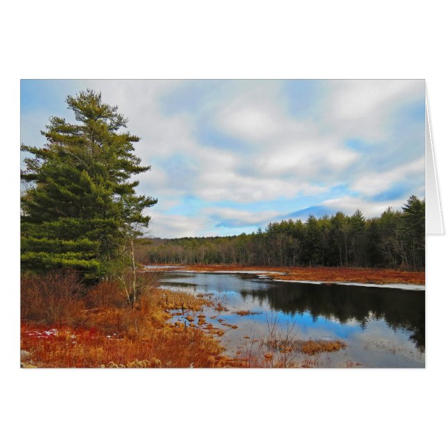 Marsh Stream (Front Horizontal)