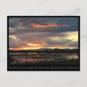 Marsh Sunset #2 Postcard