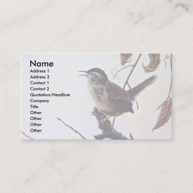 Marsh wren business card (Front)