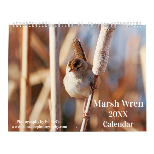 Marsh Wren Calendar (Cover)