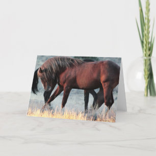 Marshal the Band Stallion Carte de voeux
