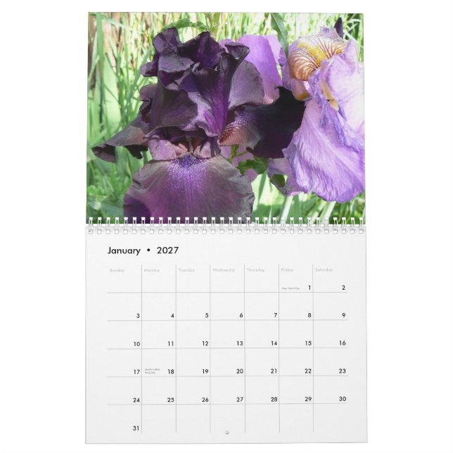 Marsha's Amazing Irises 2008 Cale... Calendar (Jan 2027)