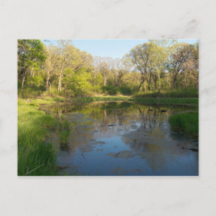 Marshes of Battle Creek Park Postcard