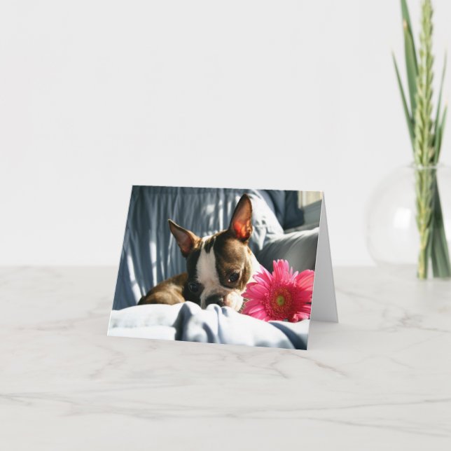 Martha and Gerber Daisy Card (Front)