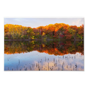 marthaler park autumn and pond reflections photo print