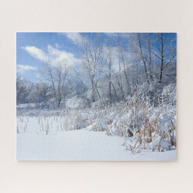 Marthaler Park Frozen Pond and Trees Jigsaw Puzzle (Horizontal)