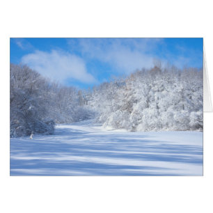 Marthaler Park Snowy Hills