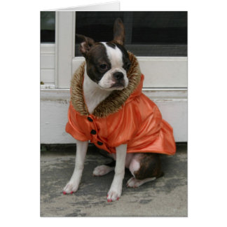 Martha's winter coat