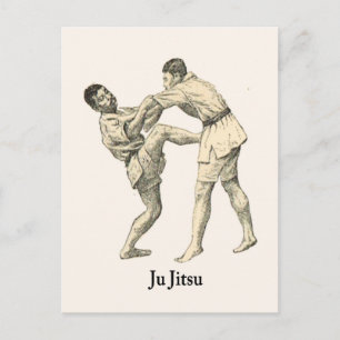 Martial Arts Ju jitsu 15 Postcard