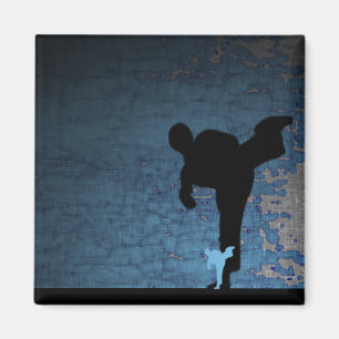 martial arts : shadowstance magnet