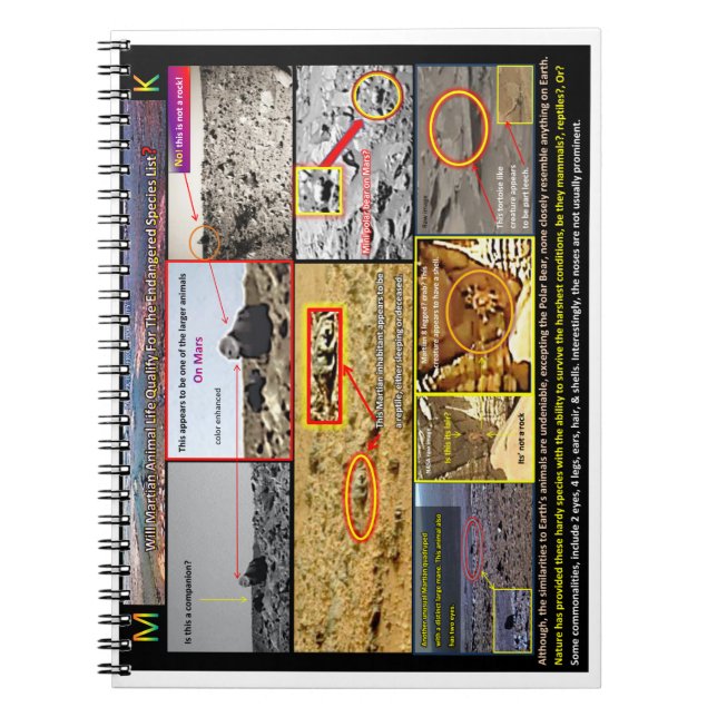 Martian animal life notebook (Front)