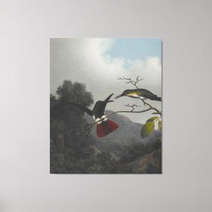 MARTIN J. HEADE - Black-throated Mango - 1863-64 - Canvas Print