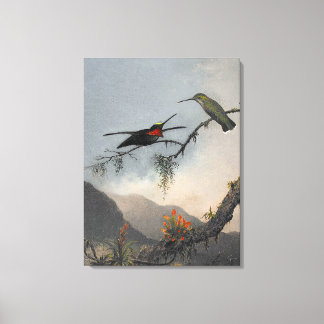 MARTIN J. HEADE Stripe-breasted Starthroat (1864) Canvas Print