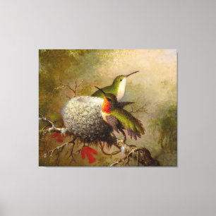 MARTIN J. HEADE - Two Ruby Throats by Their Nest - Canvas Print