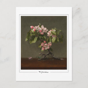 Martin Johnson Heade #26 - Carte postale d'art fin