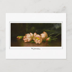 Martin Johnson Heade #34 - Carte postale d'art fin