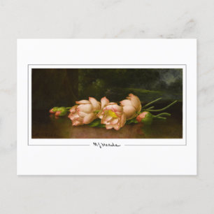 Martin Johnson Heade #34 - Fine Art Postcard