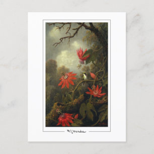 Martin Johnson Heade #36 - Fine Art Postcard